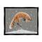 Stupell Industries Jumping Fox Winter Snowfall Framed Floater Canvas Wall Art